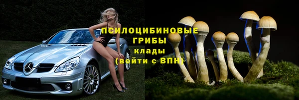 apvp Белоозёрский