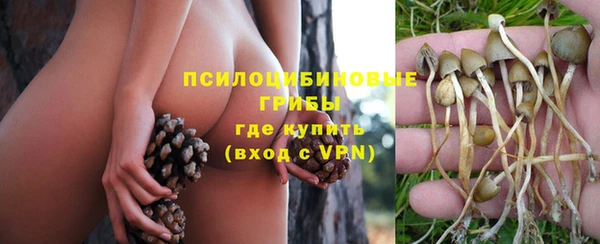 apvp Белоозёрский